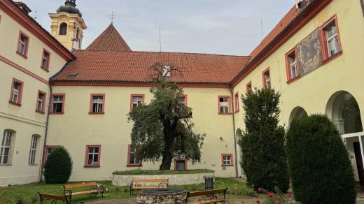 Areál Nemocnice Na Františku