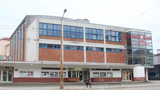 Sokol v Jihlavě