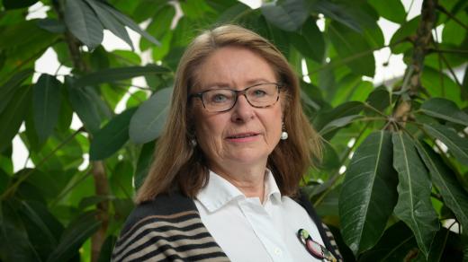 Miroslava Němcová