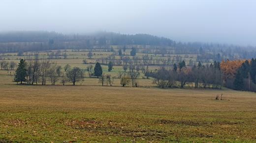 Syrová podzimní krajina