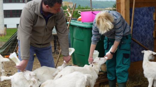 Redaktorka Veronika Jaklová už léta farmaří
