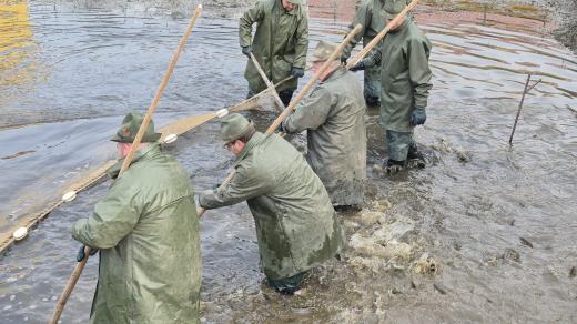 Jihočeští rybáři na jaře vyloví hlavně dravé ryby, zejména štiky, sumce anebo líny