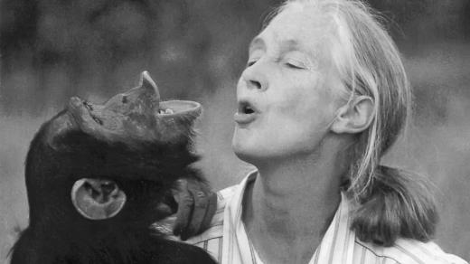 Přírodovědkyně Jane Goodall