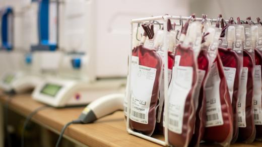 V Litomyšlské nemocnici provádí i klasické odběry plné krve. Plazma se může oddělit později