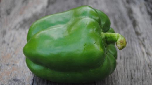 Zelená paprika