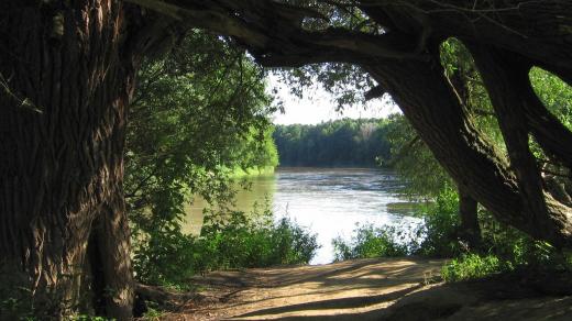 Soutok Moravy a Dyje, pohled z českého břehu