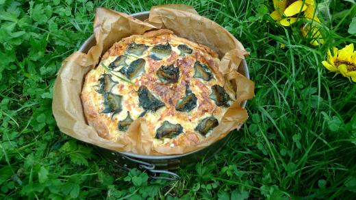 Quiche se slunečnicovými poupaty