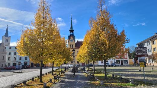 Krásná alej na náměstí slouží k odpočinku a má i neopakovatelný půvab