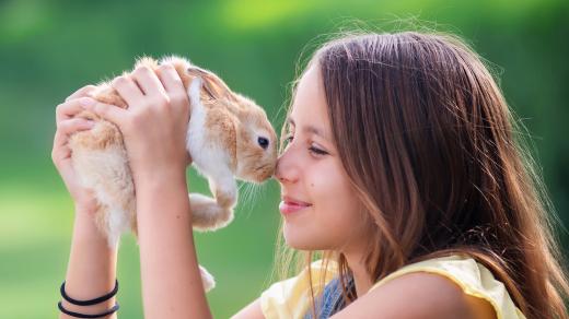 Králíčci jsou oblíbenými mazlíčky