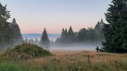 Šumava