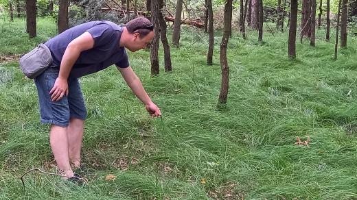 Petr Horák v porostu trávy, které místní říkají chudačka