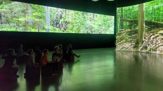 Trezor přírody, multimediální expozice, Horní Lideč