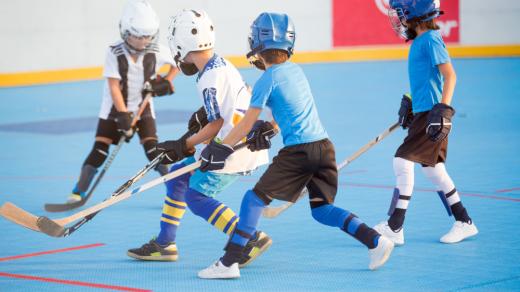 Hokejbal
