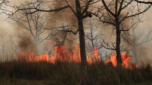 Požár, ilustrační foto