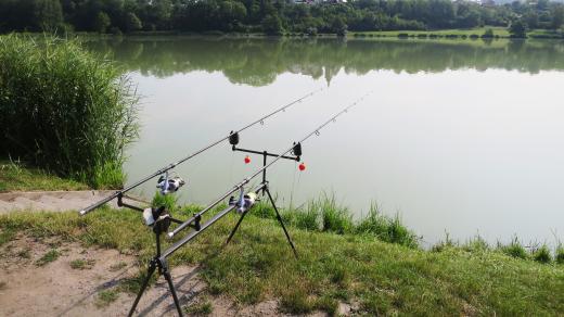 Čekání na úlovek - rybník Voletice