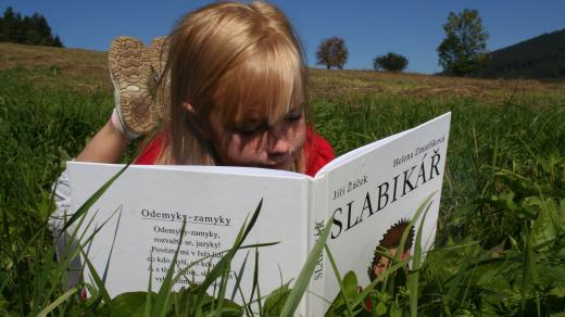 čtení, četba, slabikář, prázdniny, kniha, český jazyk, pohoda, dítě, dívka, louka
