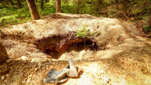 Jáma po nelegální těžbě vltavínů v lese na Novohradsku v jižních Čechách