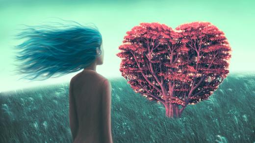 Kdo ukradl princovo srdce?