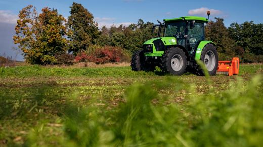 Farma Petráveč, pole s hrachem a kmínem