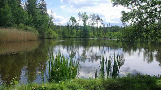 I Karel Jaromír Erben byl vodní zátluckou lokalitou okouzlen