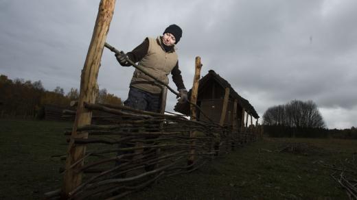 V Keltském skanzenu u Nasavrk se pořád něco děje. Na snímku Lada Hrochová ze sdružení Boii vyplétá plot kolem dvorce kováře