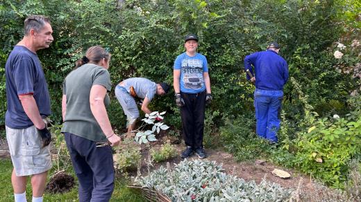 Klienti vrchlabské diakonie se celý rok starali o plodiny v terapeutické zahradě. Teď přišel čas sklizně