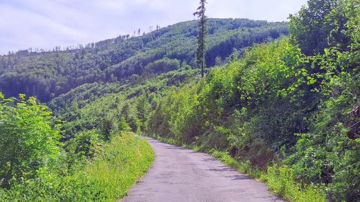 Po asfaltové cestě se k Ondřejníčku dostanete z Frýdlantu i autem
