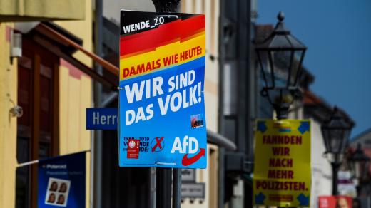 Předvolební kampaň Alernativy pro Německo (AfD)