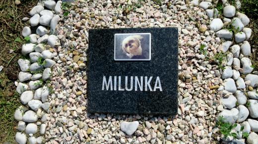 Jeden z náhrobků na animálním hřbitově v Pardubicích