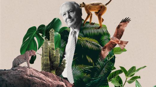 Radiokniha - David Attenborough: Život na naší planetě