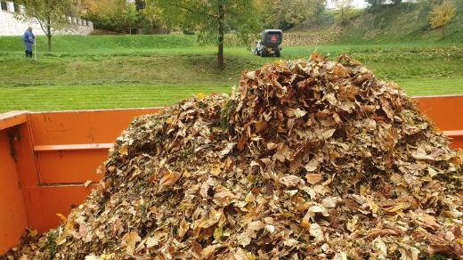 Brtnice, úklid listí