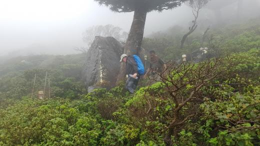 Ostrov Sokotra je rájem pro badatele