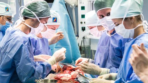 Letní škola experimentální chirurgie Lékařské fakulty UK v Plzni