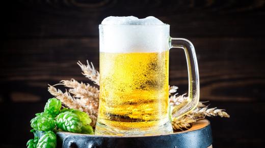 Pivo