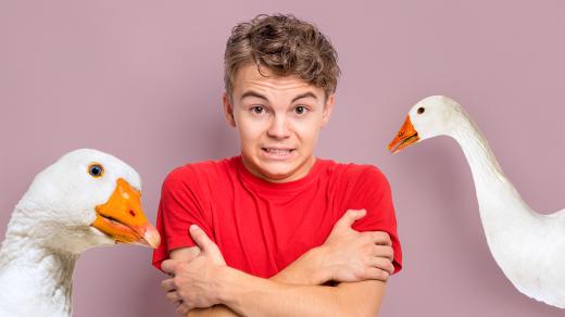 K čemu nám je husí kůže?