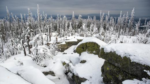 Hora Plechý, Šumava