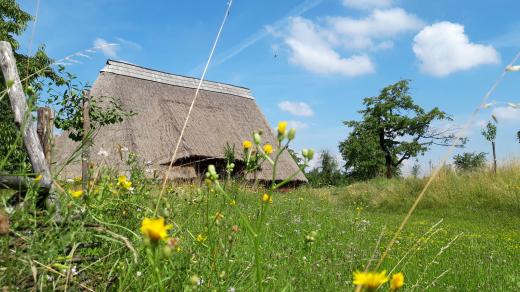 Usušit trávu na seno, které voní a není přesušené, chce zkušenost a trpělivost