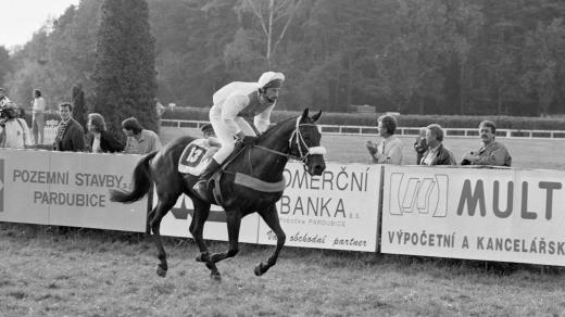 Velká pardubická 1993. Na fotografii vítěz závodu kůň Rigoletto a jeho jezdec Libor Štencl