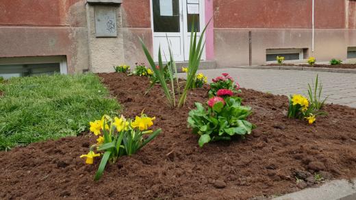 Dny dobrovolnictví v Plzeňském kraji