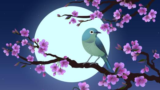 Slavíkův zpěv dokáže léčit