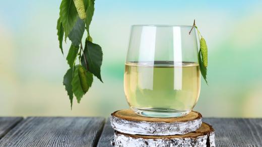 Bříza, listy, míza, kůra