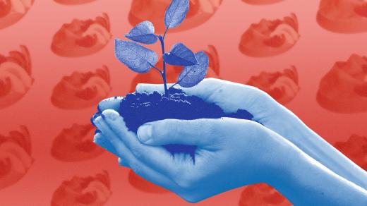 Životní prostředí