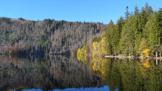 Černé jezero