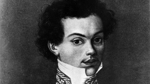 Houslista Josef Slavík