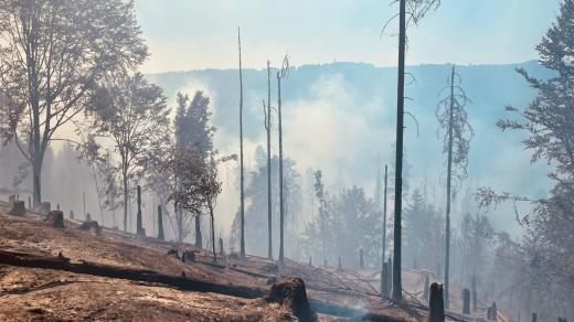 Při hašení požáru v NP České Švýcarsko pomáhají také středočeští hasiči