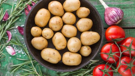 Brambory i rajčata na jedné rostlině?