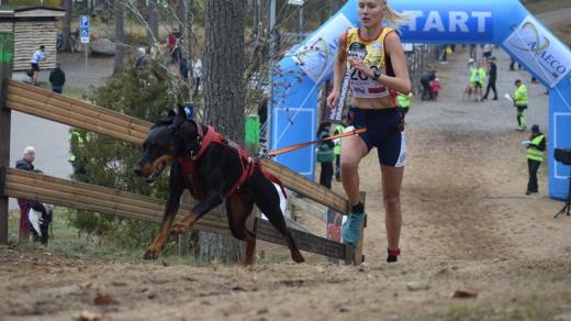 Barbora Zoubková s dobrmankou Jasmínou, české šampionky v mushingu - canicrossu