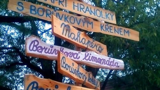 Borůvkobraní v Borovanech