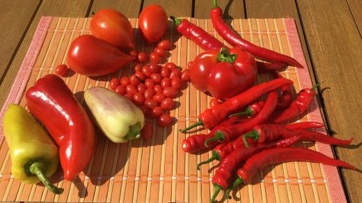 Zajímavé odrůdy paprika a rajčat - Dívčí prso (vledo nahoře), paprika Ostry (zelená vledo dole), Slovakia (červená vlevo), paprika Tamina (placatá vpravo)