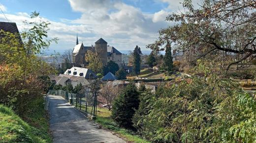 Hrad Šternberk